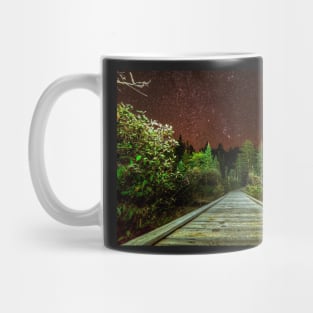 Adirondack Log Keene Valley NY New York Stars Mug